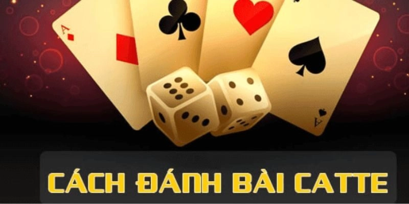 Cách Chơi Catte – Hướng Dẫn Cụ Thể Nhất Cho Tân Thủ 77BET